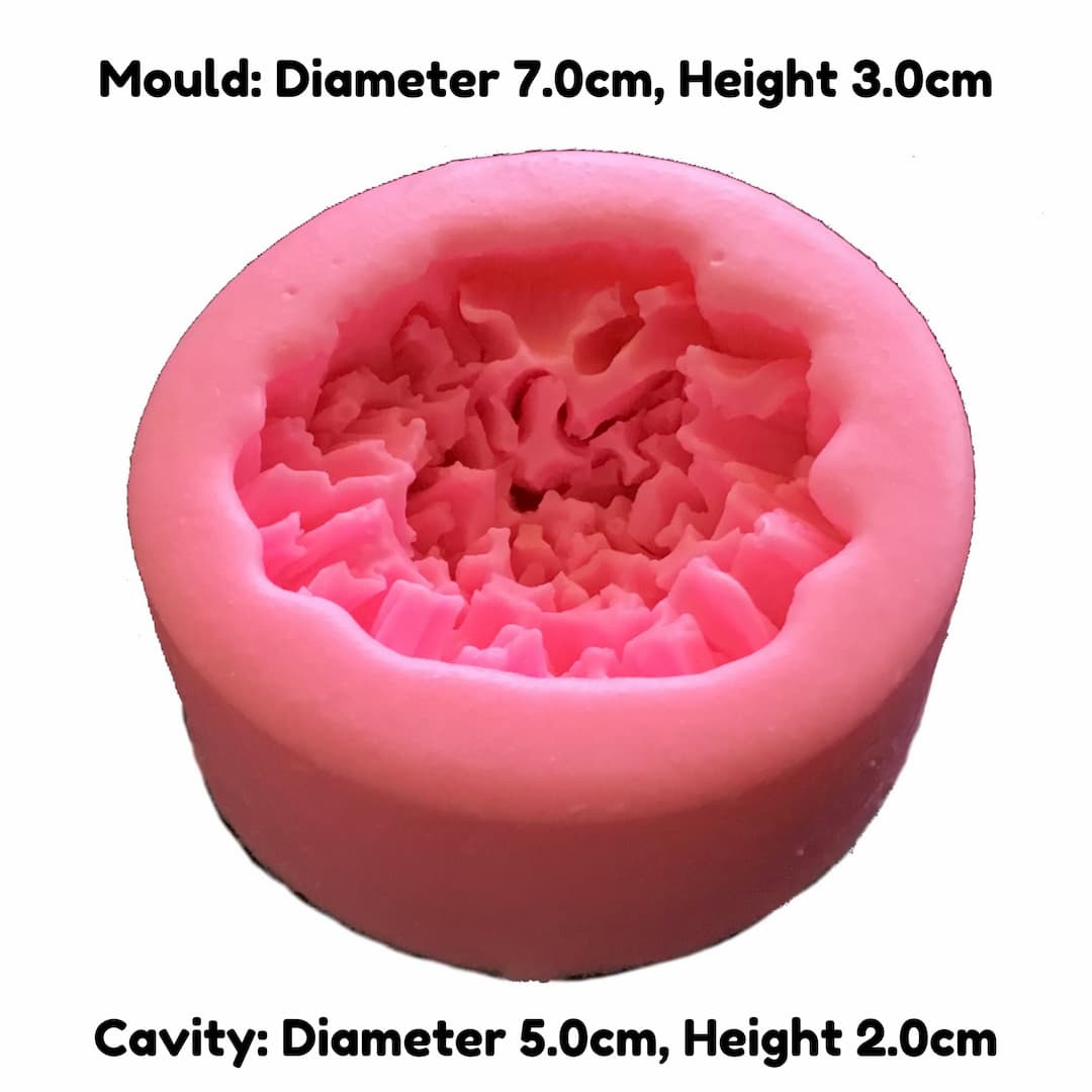 carnation mould dimensions